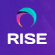 RISE CRM plugins